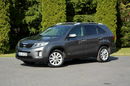 Kia Sorento Lift 4x4 Skóry Ledy bi-xenon Kamera Wentylacja Park Assist Hak zdjęcie 3