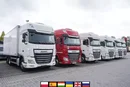 DAF XF 480 E6 6x2 / Chłodnia 18 palet / 6 sztuk zdjęcie 1