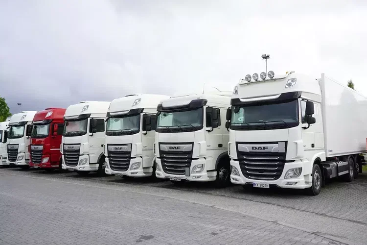 DAF XF 480 E6 6x2 / Chłodnia 18 palet / 6 sztuk zdjęcie 2