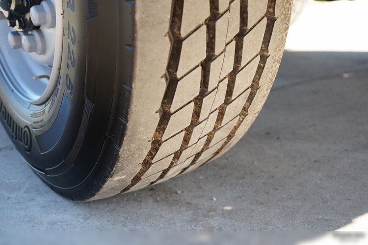 MAN TGS 41.480 / 8X8 / DO ZABUDOWY / FABRYCZNIE NOWY 2026 zdjęcie 24