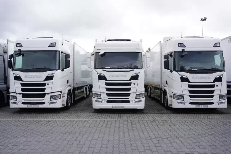 Scania R500 / Zabudowa chłodnicza / 3. oś skrętna / zdjęcie 2