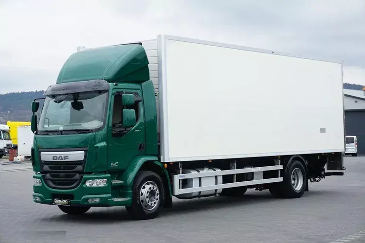 DAF LF / 250 / EURO 6 / CHŁODNIA + WINDA / MULTITEMPERATURA zdjęcie 2