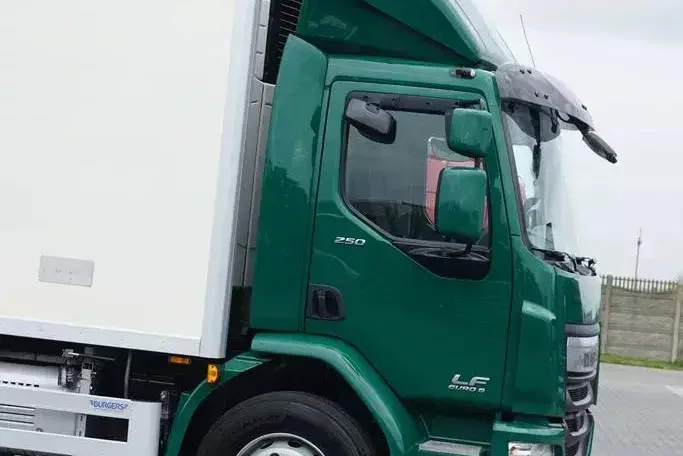 DAF LF / 250 / EURO 6 / CHŁODNIA + WINDA / MULTITEMPERATURA zdjęcie 34