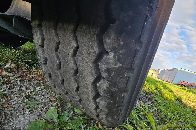 BENALU 50M zdjęcie 22