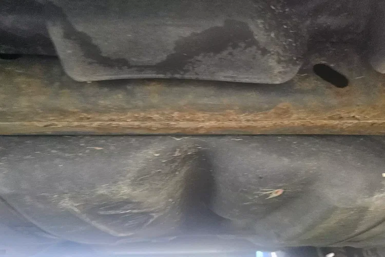 BENALU 50M zdjęcie 33