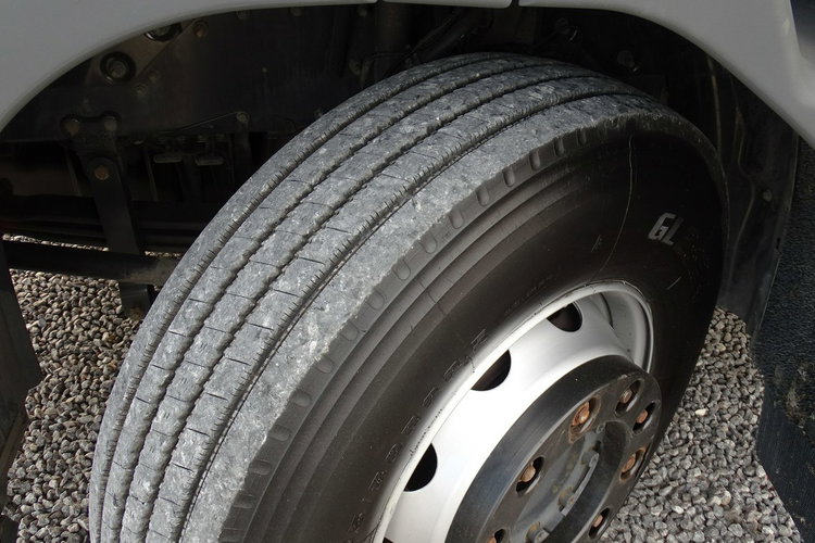 Scania P310 Kontener Sprowadzony Automat Kontener Zamykany Winda Klapa, Poduszki, Automat, Sprowadzony, DMC 18t zdjęcie 11