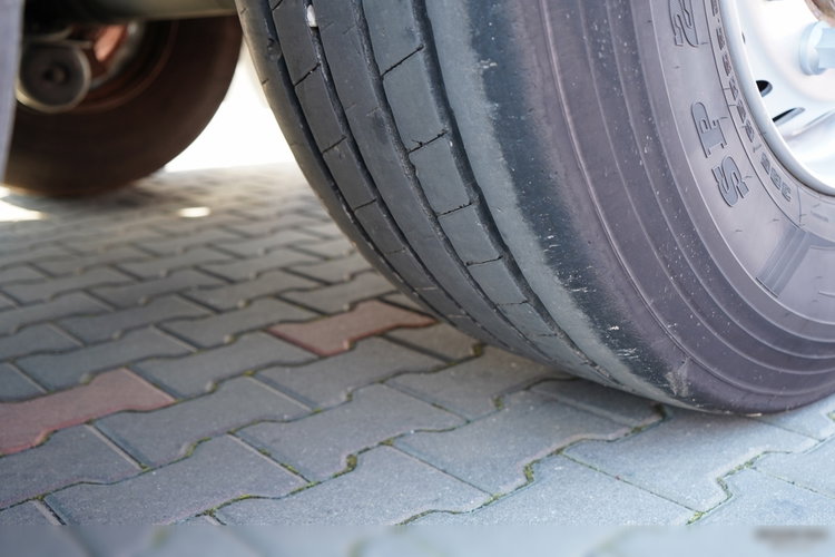 SCHMITZ / CHŁODNIA / THERMO KING SLX 300 / HAKÓWKA / OŚ PODNOSZONA / KOSZ NA PALETY zdjęcie 24