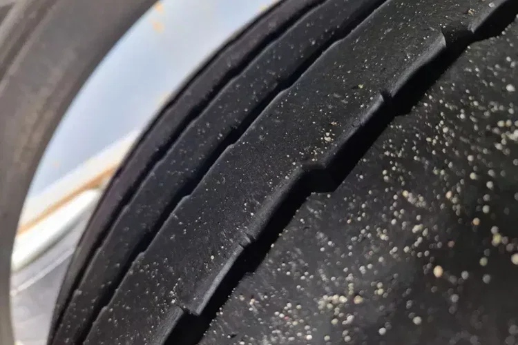 Scania BDF R450LB6x2MNB + PRZYCZEPA SCHMITZ zdjęcie 26