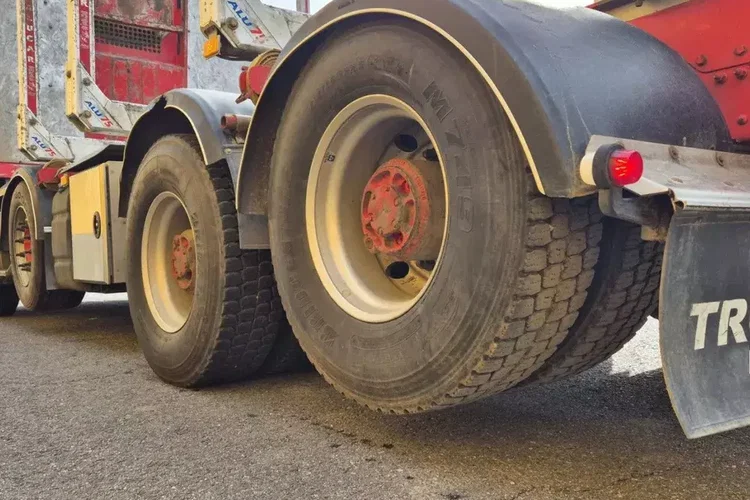 Volvo FH 750 8x4 / 2 osie podnoszone / Do przewozu drewna zdjęcie 9