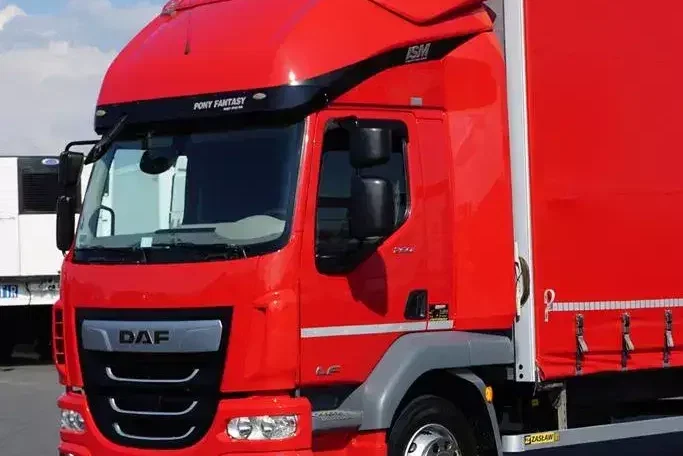 DAF LF / 260 / ACC / E 6 / FIRANKA / 22 PALETY / DŁ. 8.85 M zdjęcie 21