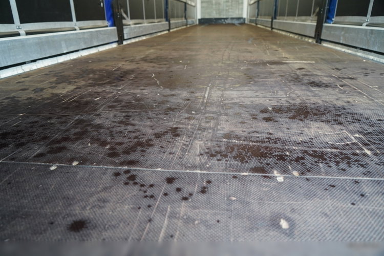 Wielton / FIRANKA / STANDARD / OŚ PODNOSZONA  zdjęcie 19