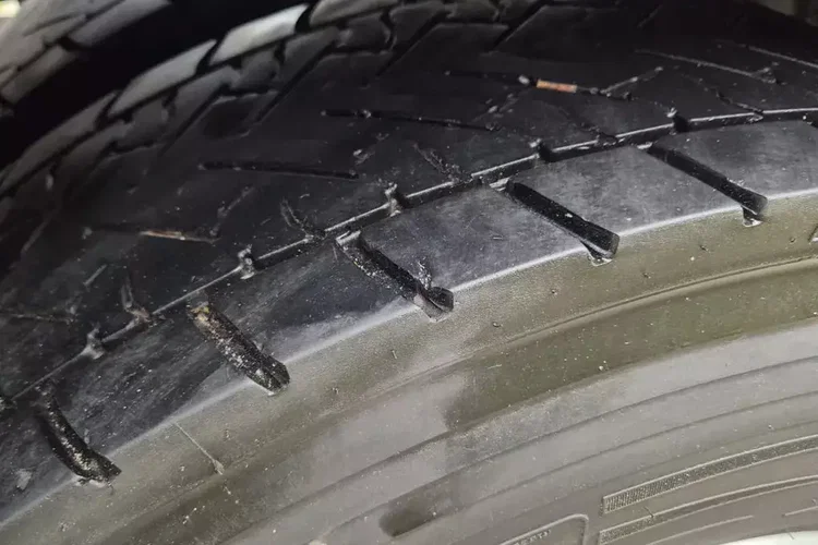 Scania R450 zdjęcie 54