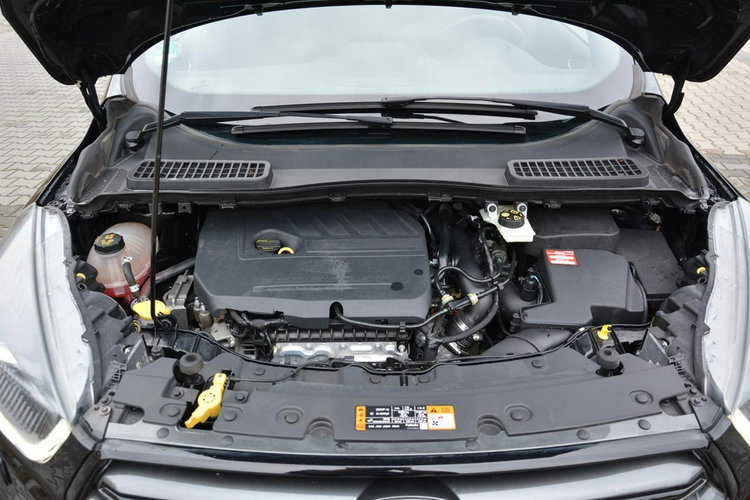 Ford Kuga AWD ST-Line Radar Acc BI-Xenon ledy Park Assist Skóry Panorama ASO zdjęcie 38