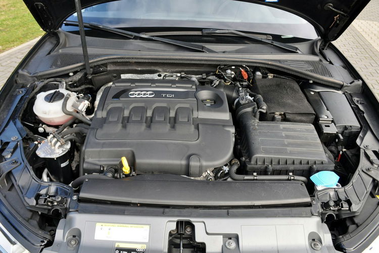 Audi A3 1.6TDI(110KM) Navi MMI Bi-Xenon Led Klimatronik Welur Chrom Alu16"ASO zdjęcie 39