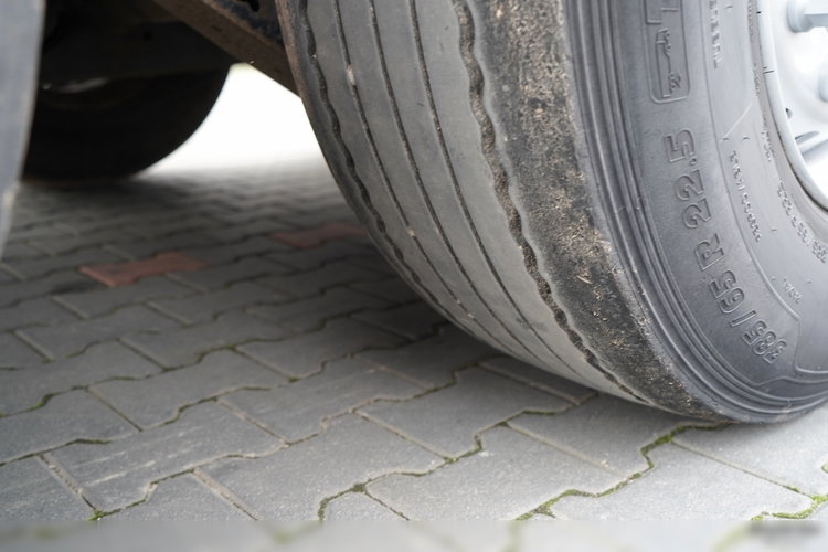 Wielton / FIRANKA STANDARD / MULDA DO STALI - 9 M  / OŚ PODNOSZONA / SAF  zdjęcie 25