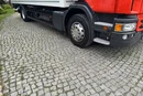 Scania P250 zdjęcie 10