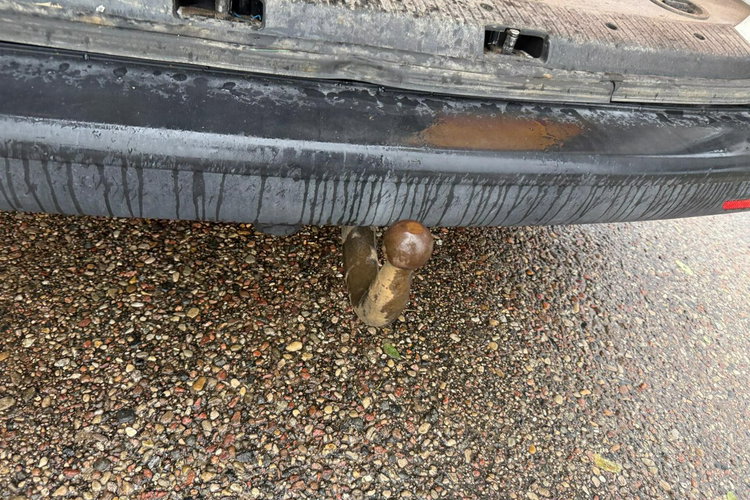 Volkswagen Transporter 2.0 TDI 150KM/Warsztat/Wysoki/ Solary/Webasto zdjęcie 42