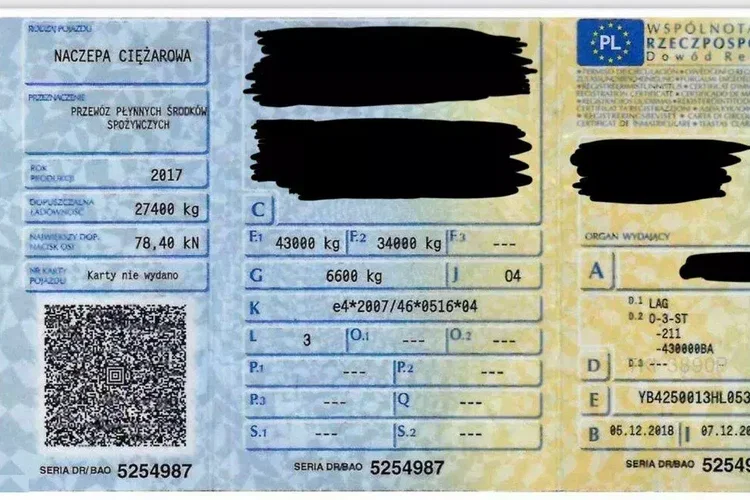 LAG Spożywcza Magyar Izolowana Webasto Pompa Elektryczna do Zrzutu zdjęcie 38