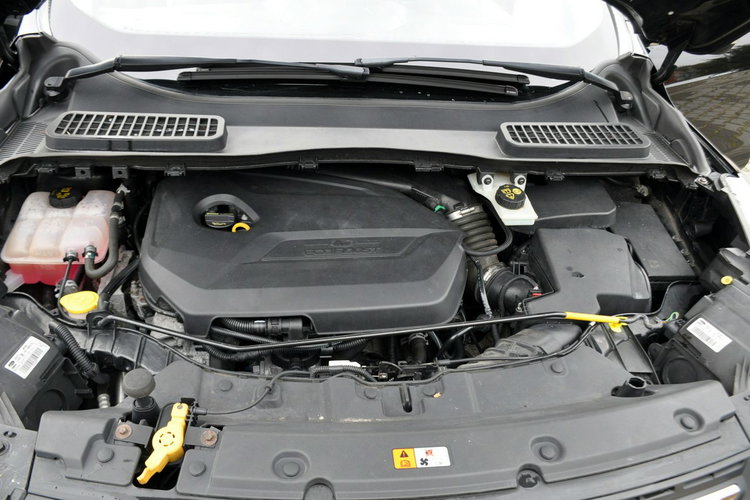 Kuga 1.6i(150KM) Welur Reling Grzana Szyba Parktronik I Wł Alu17"ASO Ford zdjęcie 39