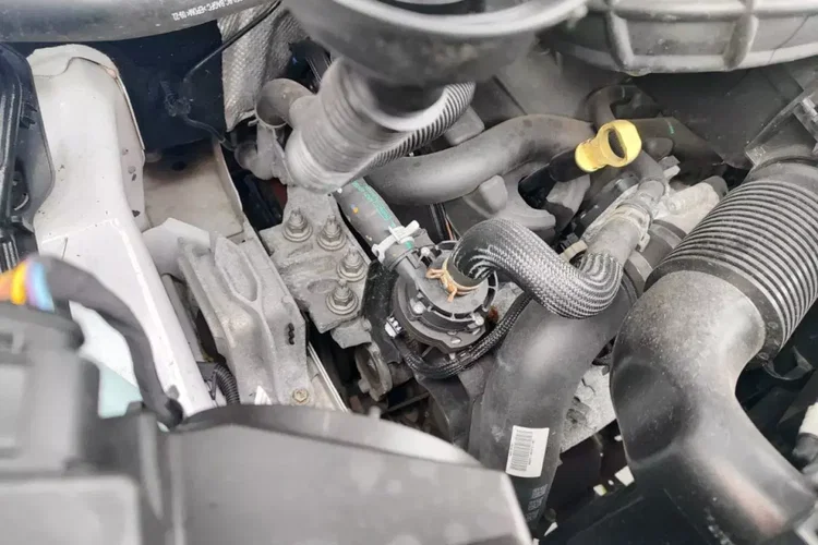 Ford Transit Custom zdjęcie 29