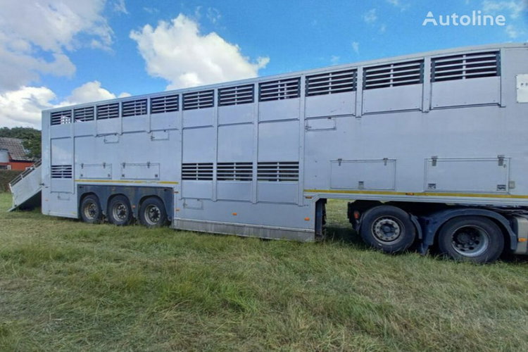 GADD3 Gray Adams GADD3 - Do przewozu zwierząt - 2 poziomy zdjęcie 2