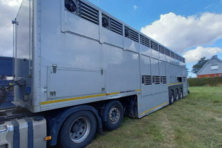 GADD3 Gray Adams GADD3 - Do przewozu zwierząt - 2 poziomy zdjęcie 3