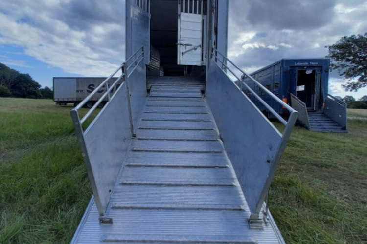 GADD3 Gray Adams GADD3 - Do przewozu zwierząt - 2 poziomy zdjęcie 6