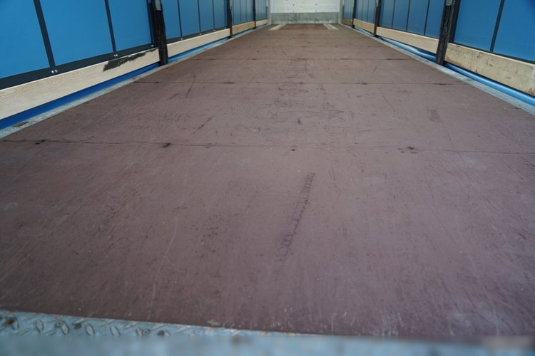 Schmitz FIRANKA / STANDARD / 2 OSIE  PODNOSZONE /  zdjęcie 19