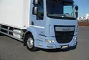 DAF LF / 260 / ACC / EURO 6 / CHŁODNIA + WINDA / MULTITEMPERATURA / 18 PALET zdjęcie 20