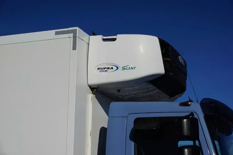 DAF LF / 260 / ACC / EURO 6 / CHŁODNIA + WINDA / MULTITEMPERATURA / 18 PALET zdjęcie 30