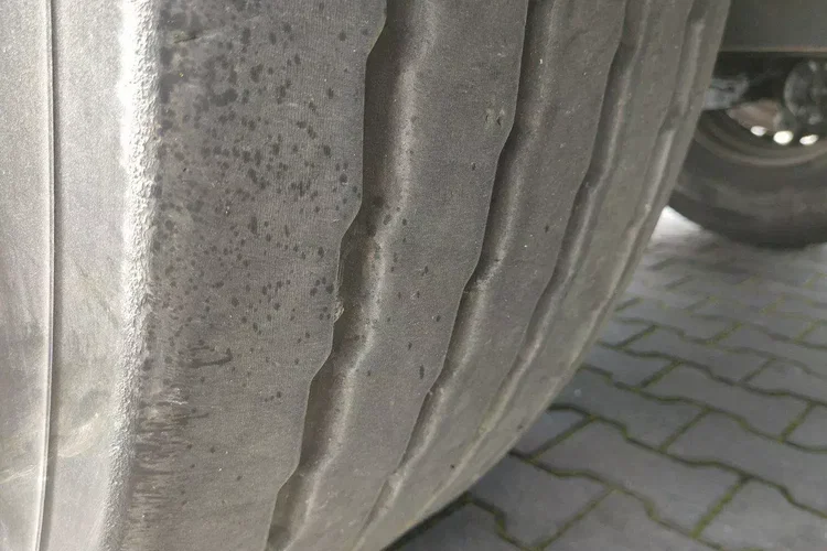 Wielton Standard na osiach SAF LIBNER DO PALET, ZRĄBKI, TROCIN zdjęcie 59