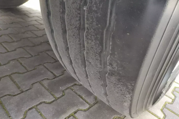 Wielton Standard na osiach SAF LIBNER DO PALET, ZRĄBKI, TROCIN zdjęcie 64