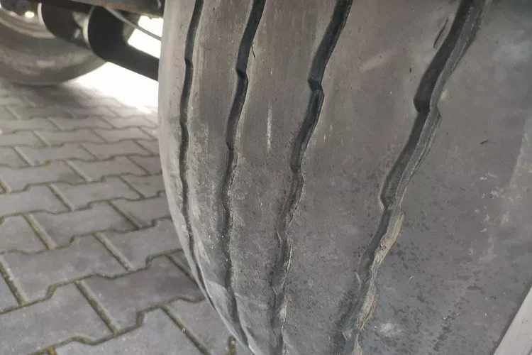 Wielton Standard na osiach SAF LIBNER DO PALET, ZRĄBKI, TROCIN zdjęcie 65