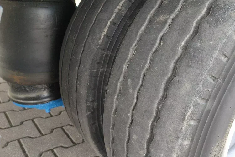 BODEX Poszerzana zdjęcie 45