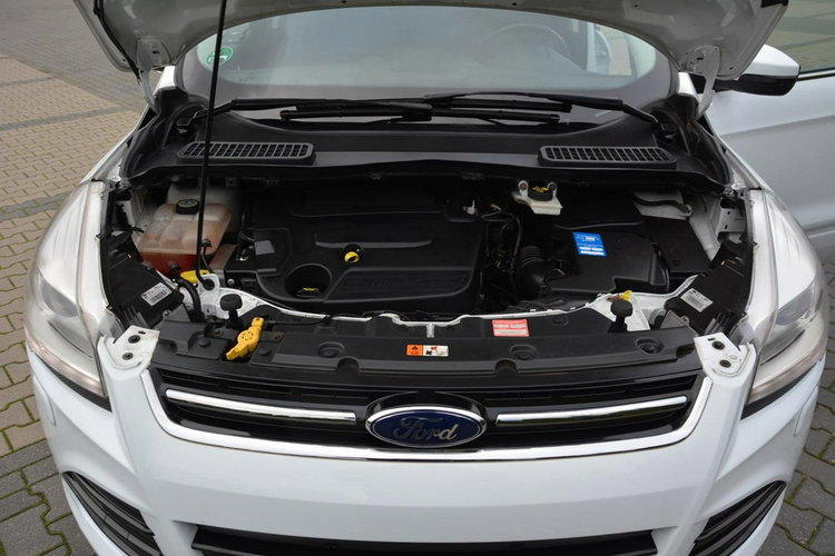 Ford Kuga Individual Radar ACC Skóry Panorama Ledy Bi-xenon Navi Kamera ALU19 zdjęcie 27