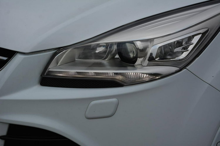 Ford Kuga Individual Radar ACC Skóry Panorama Ledy Bi-xenon Navi Kamera ALU19 zdjęcie 3