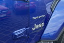 Jeep Wrangler SAHARA 4x4 3.6 284KM Automat Kam. Cof. Navi Podgrz. fot + kierownica zdjęcie 17