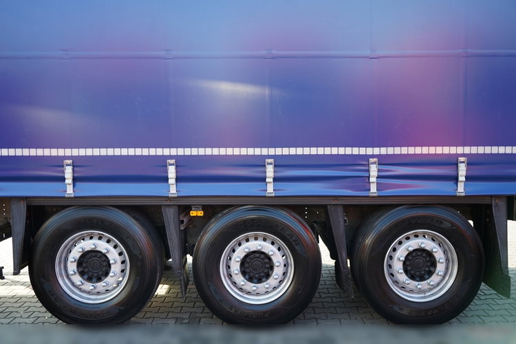 Schmitz -CARGOBULL / FIRANKA / STANDARD zdjęcie 24