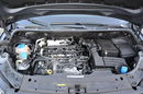 Volkswagen Caddy DSG Duża Navi Kamera Klimatronic Relingi Oryginał z Niemiec zdjęcie 33