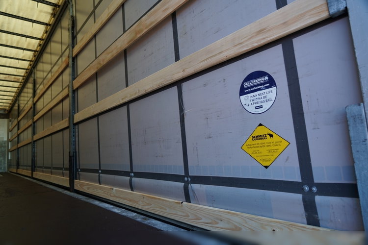 Schmitz -CARGOBULL / FIRANKA / STANDARD / 2 OSIE PODNOSZONE zdjęcie 17