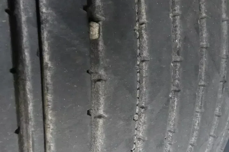 Wielton MEGA / FIRANKA / OŚ PODNOSZONA / ZADBANA / DACH PODNOSZONY / zdjęcie 16