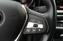 BMW 318 Advantage F-Vat Salon Polska Gwarancja zdjęcie 18
