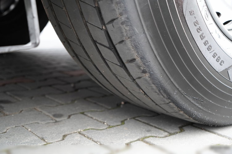 SCHMITZ CARGOBULL / CHŁODNIA / KWIATÓWKA / THERMO KING / SLX 300 zdjęcie 23