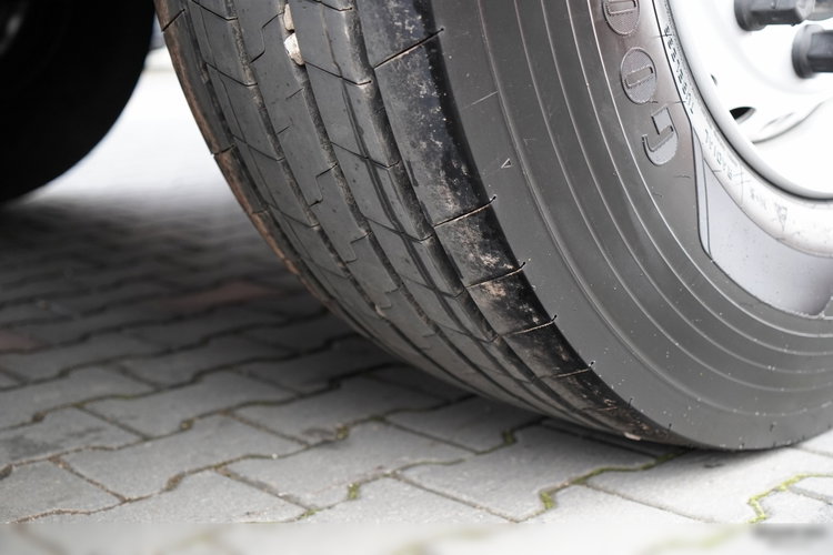 SCHMITZ CARGOBULL / CHŁODNIA / KWIATÓWKA / THERMO KING / SLX 300 zdjęcie 24