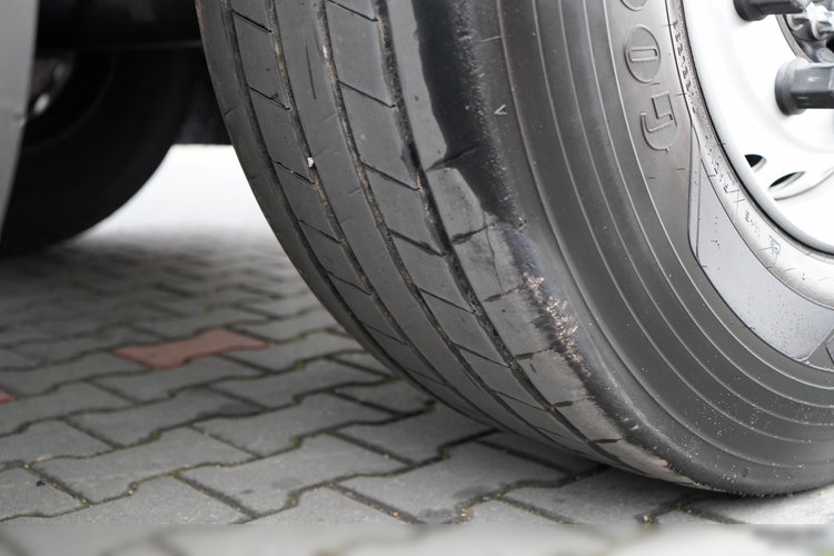 SCHMITZ CARGOBULL / CHŁODNIA / KWIATÓWKA / THERMO KING / SLX 300 zdjęcie 25