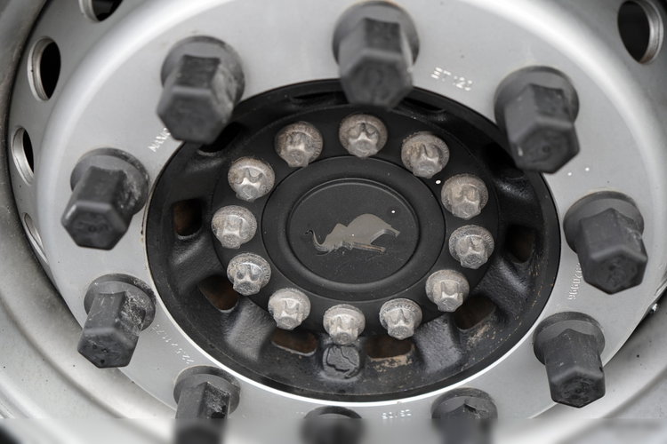 SCHMITZ CARGOBULL / CHŁODNIA / KWIATÓWKA / THERMO KING / SLX 300 zdjęcie 26