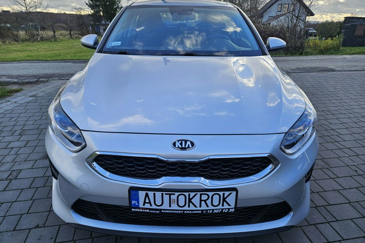 Kia Cee'd Polski salon, bezwypadkowy, gwarancja do 2028 roku zdjęcie 3