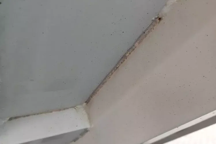 Iveco Daily zdjęcie 27