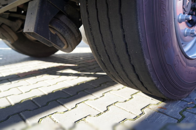 Schmitz -CARGOBULL / FIRANKA / STANDARD / 2 OSIE PODNOSZONE zdjęcie 23