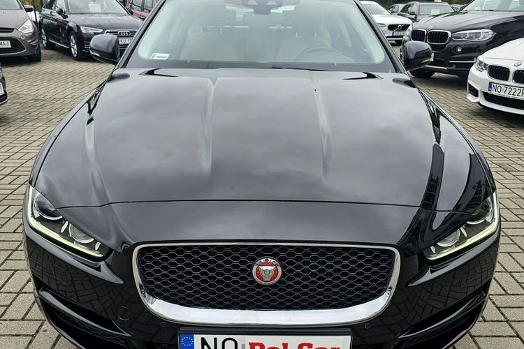 Jaguar XE model 2016, polski salon, serwis, nowy rozrząd, zdjęcie 2